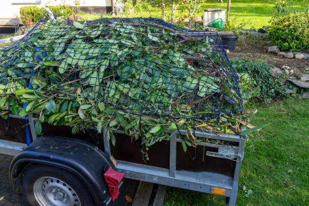 Best Furniture Removal  in Georgetown, IL